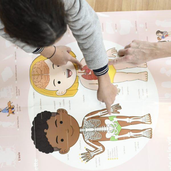 Poster Stickers Corps humain – Image 3
