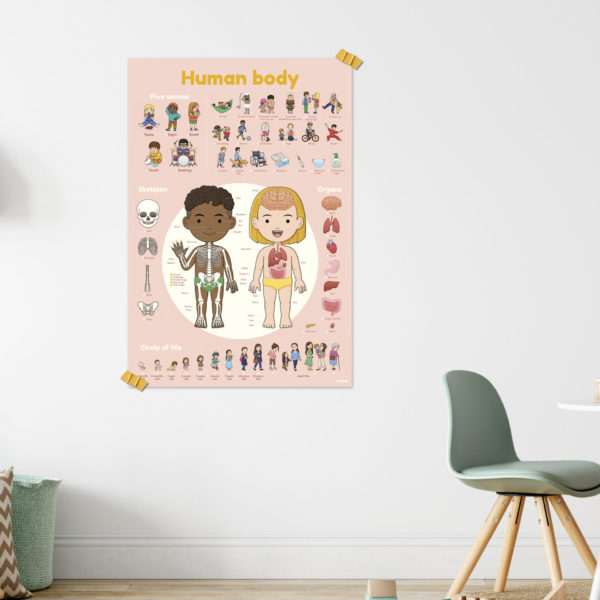 Poster Stickers Corps humain – Image 2