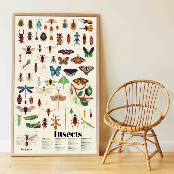 Poster Stickers Insectes – Image 2