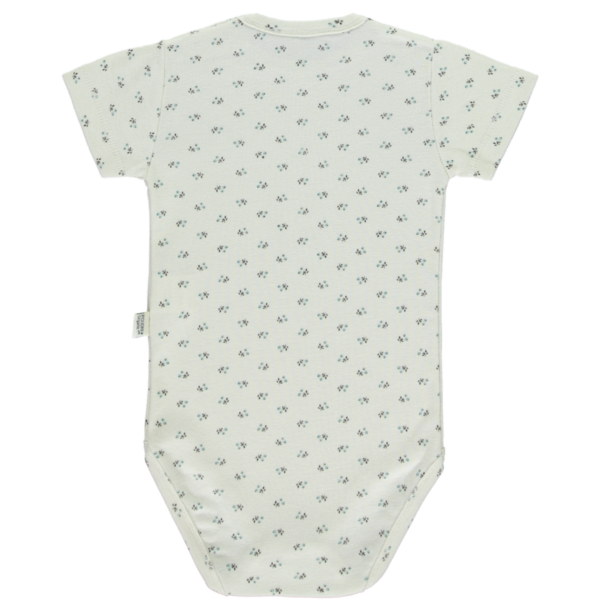 Body Aloes MC hors saison Blue Surf – Image 2
