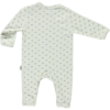 ARMOISE