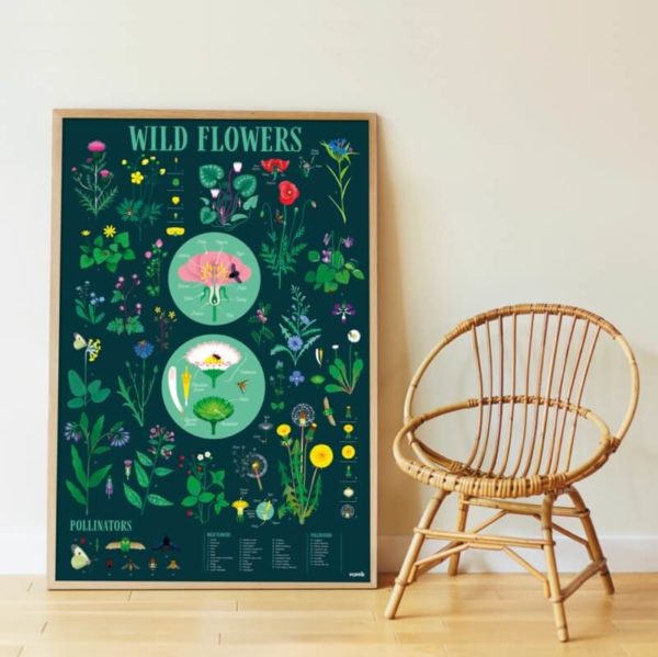 Poster Stickers Botanique – Image 2