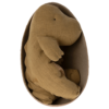 Gantosaurus medium dans son oeuf moutarde – Image 2