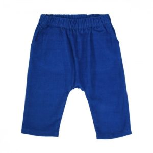 Pantalon Léandre velours milleraies bleu roi