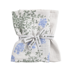 Lot de 2 langes Plumbago