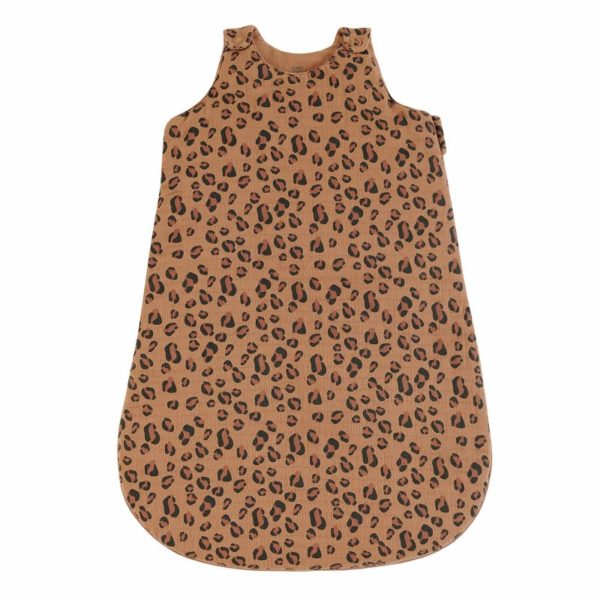 GIGOTEUSE BENGAL BONJOUR LITTLE