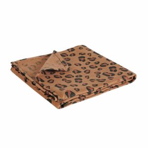 LANGE XXL BENGAL BONJOUR LITTLE