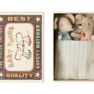Bébés souris jumeaux dans leur boîte d'allumettes