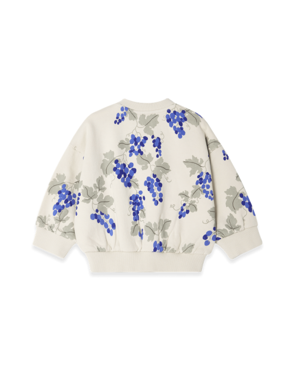 Sweatshirt Bébé imprimé Grapes Blue – Image 2