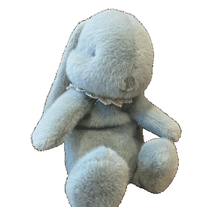 lapin bleu dentelle