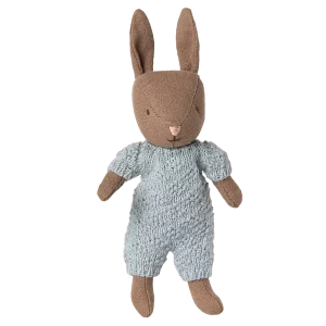 petit lapin dans sa combinaison bleue