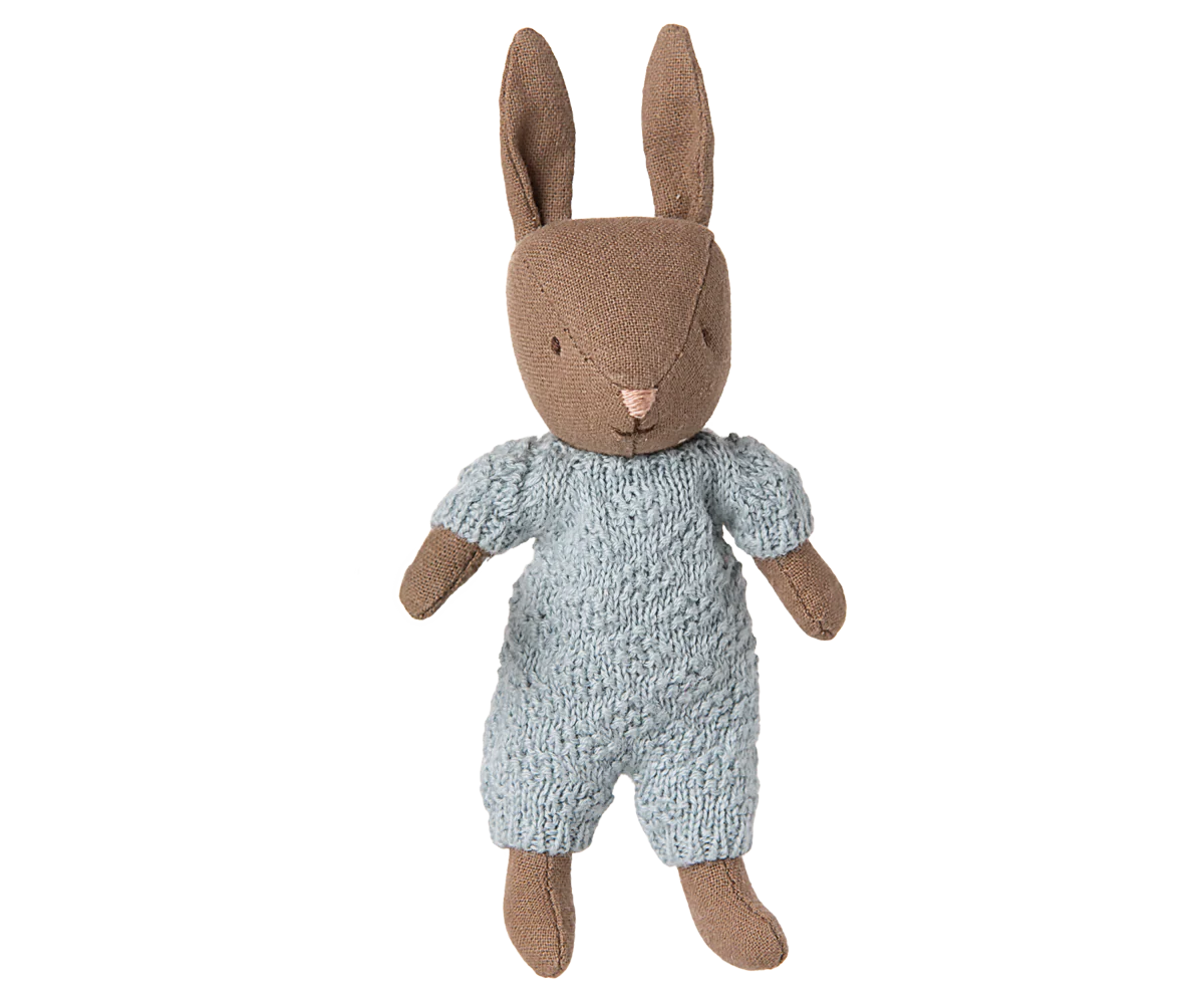 petit lapin dans sa combinaison bleue