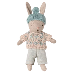 petit lapin bonnet bleu