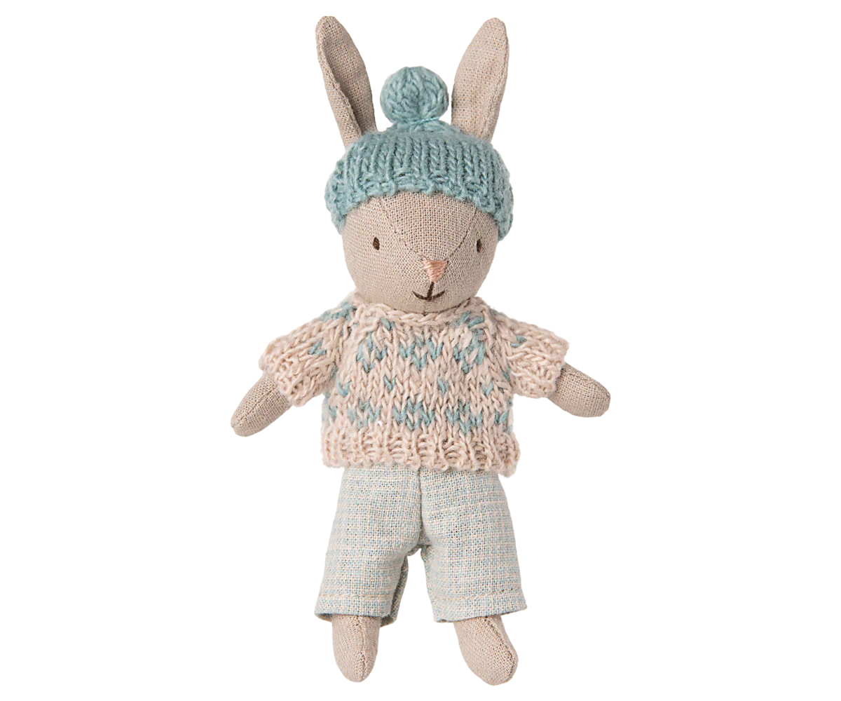 petit lapin bonnet bleu