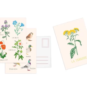 Set de 10 cartes postales Fleurs
