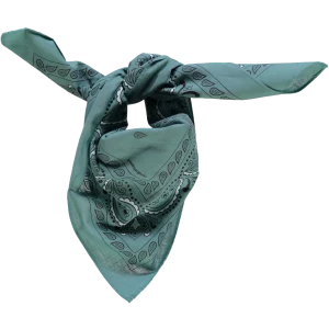 Foulard Bandana Deep Grass Green