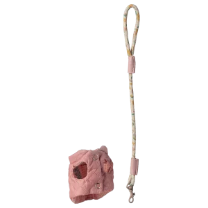 Harnais et laisse pour animaux de compagnie