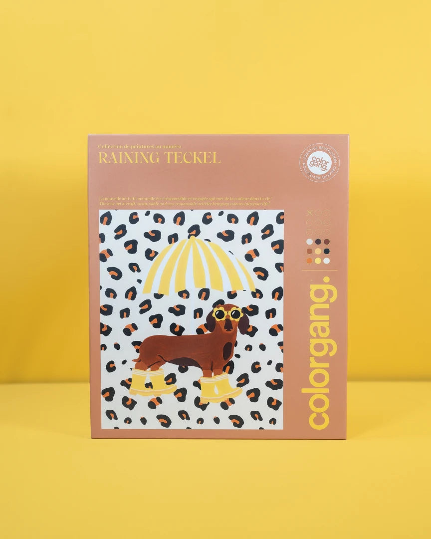 Peinture aux numéros - Raining Teckel