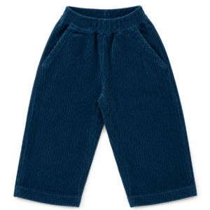 Pantalon Coing Velours Côtelé Dress Blues